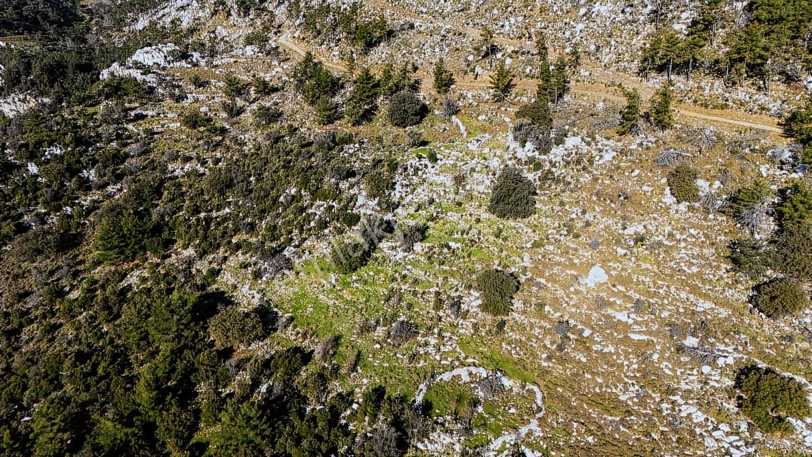 Cb Marina'dan Marmaris Osmaniye Köyü'nde Satılık 7 Dönüm Tarla - Görsel 20