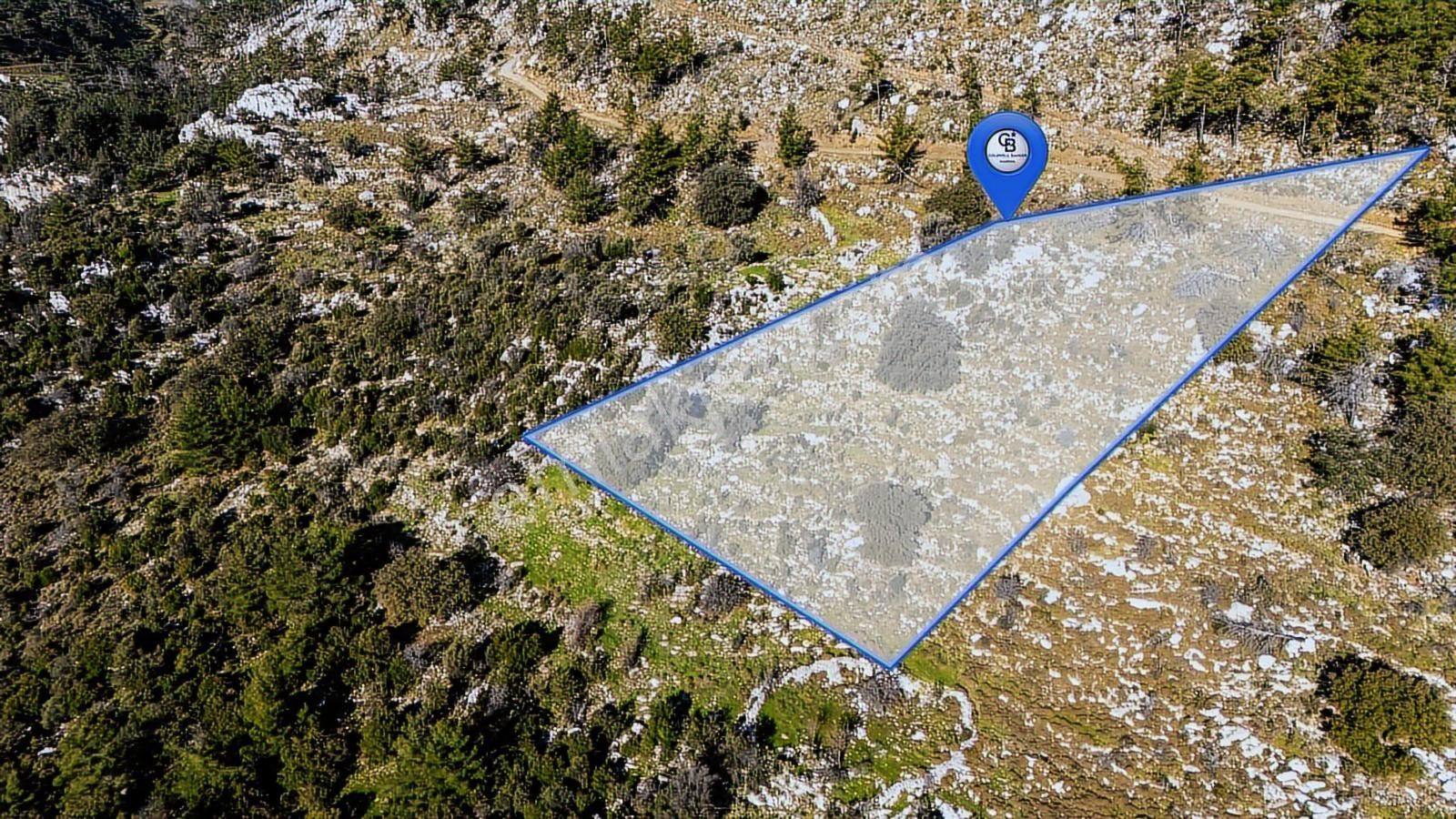 Cb Marina'dan Marmaris Osmaniye Köyü'nde Satılık 7 Dönüm Tarla