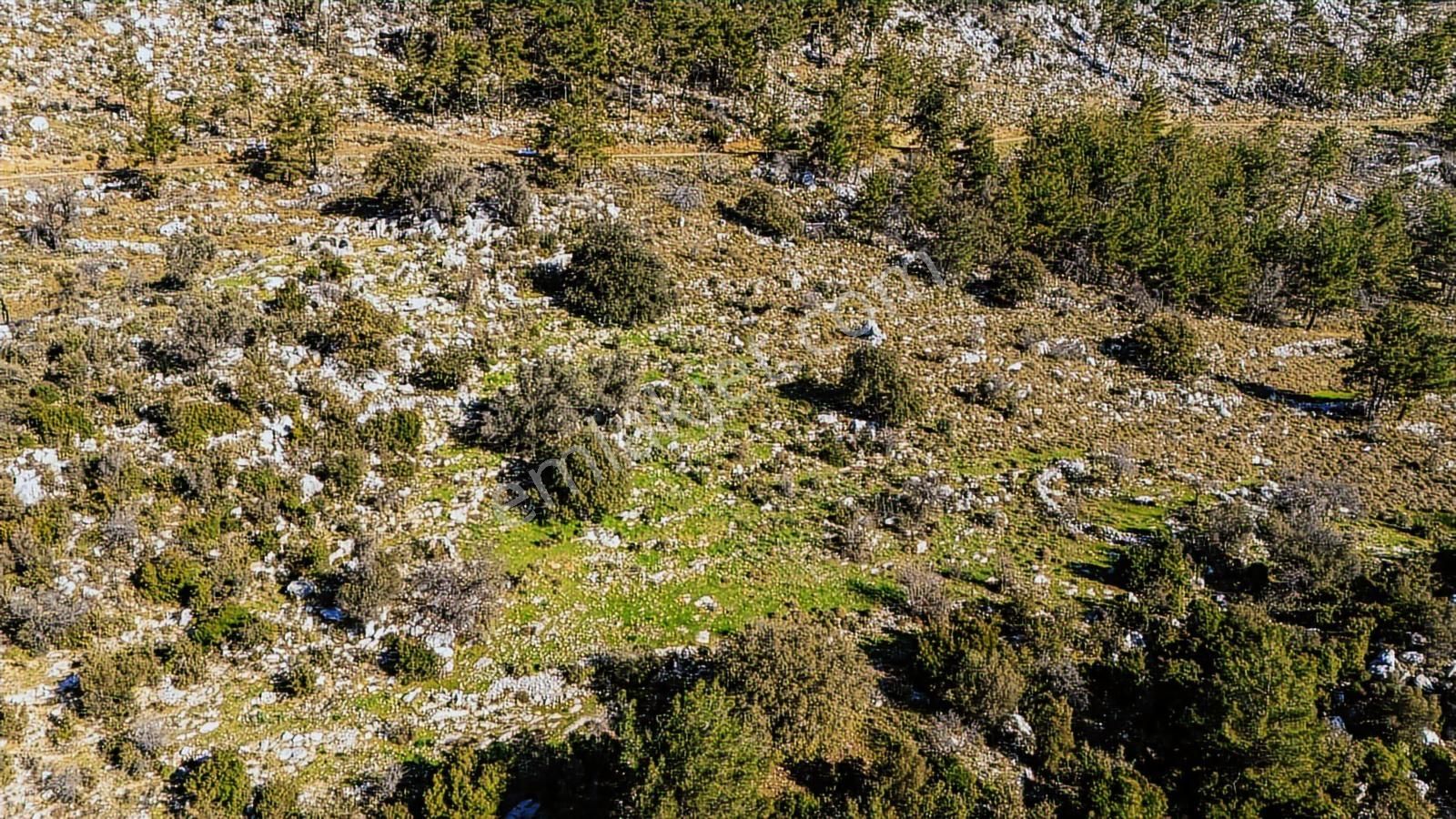 Cb Marina'dan Marmaris Osmaniye Köyü'nde Satılık 7 Dönüm Tarla - Görsel 19