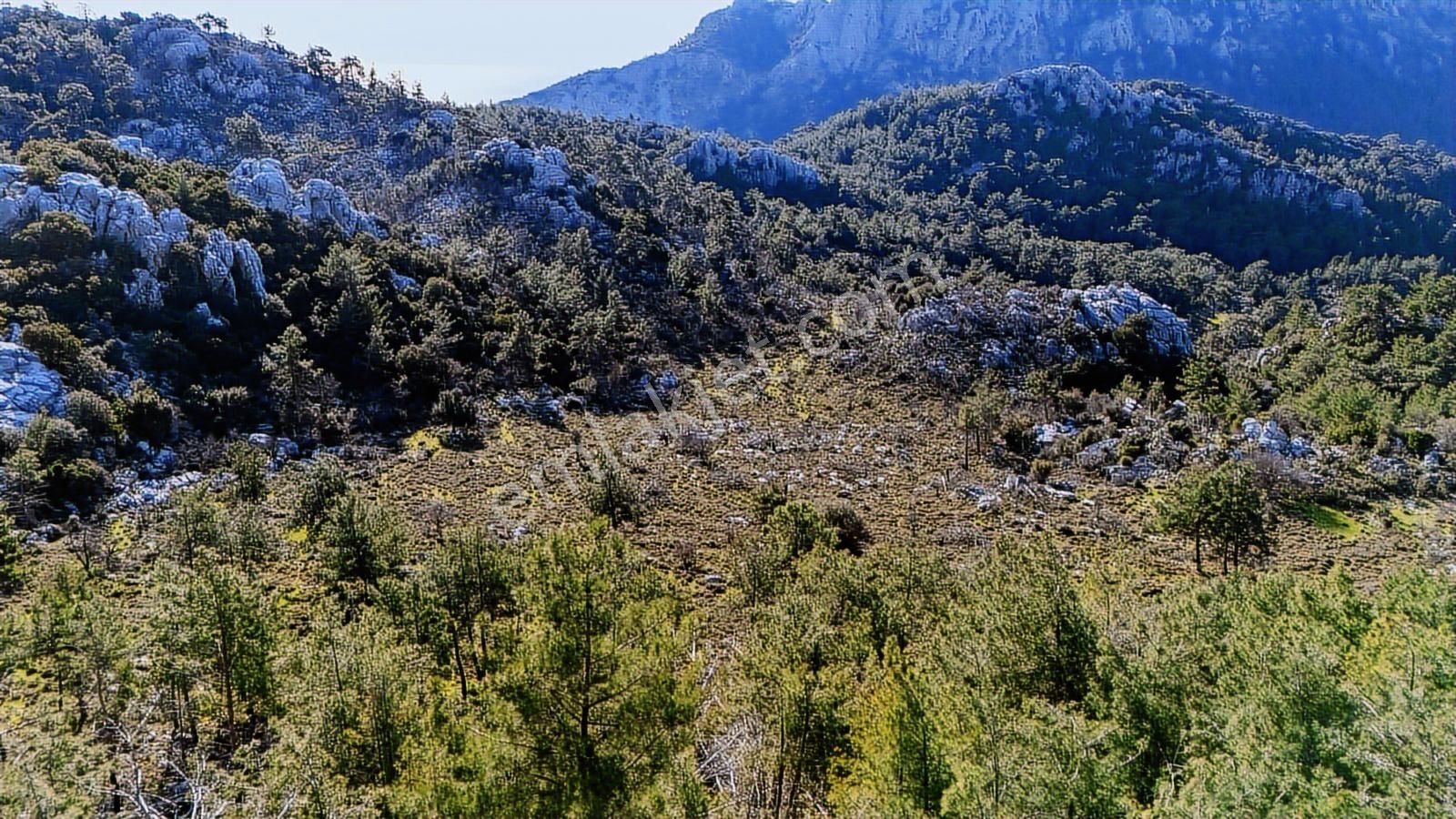 Cb Marina'dan Marmaris Osmaniye Köyü'nde Satılık 7 Dönüm Tarla - Görsel 18