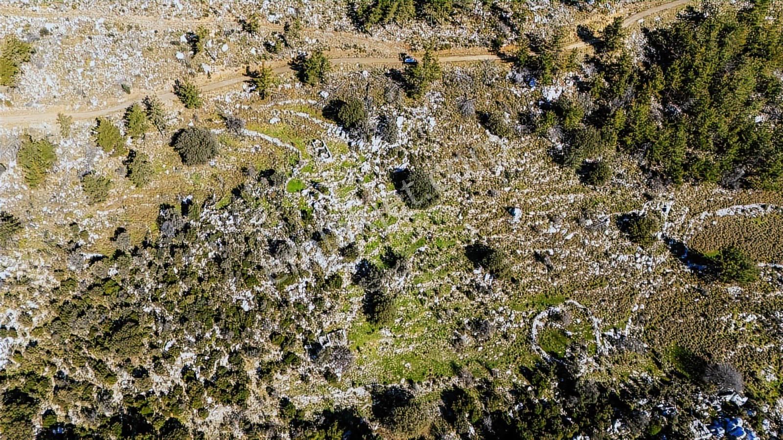 Cb Marina'dan Marmaris Osmaniye Köyü'nde Satılık 7 Dönüm Tarla - Görsel 17