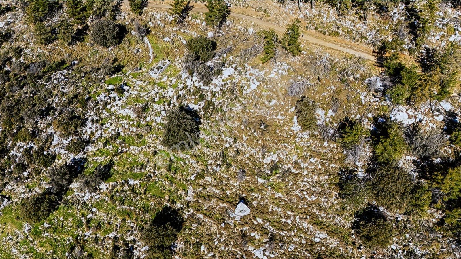 Cb Marina'dan Marmaris Osmaniye Köyü'nde Satılık 7 Dönüm Tarla - Görsel 8