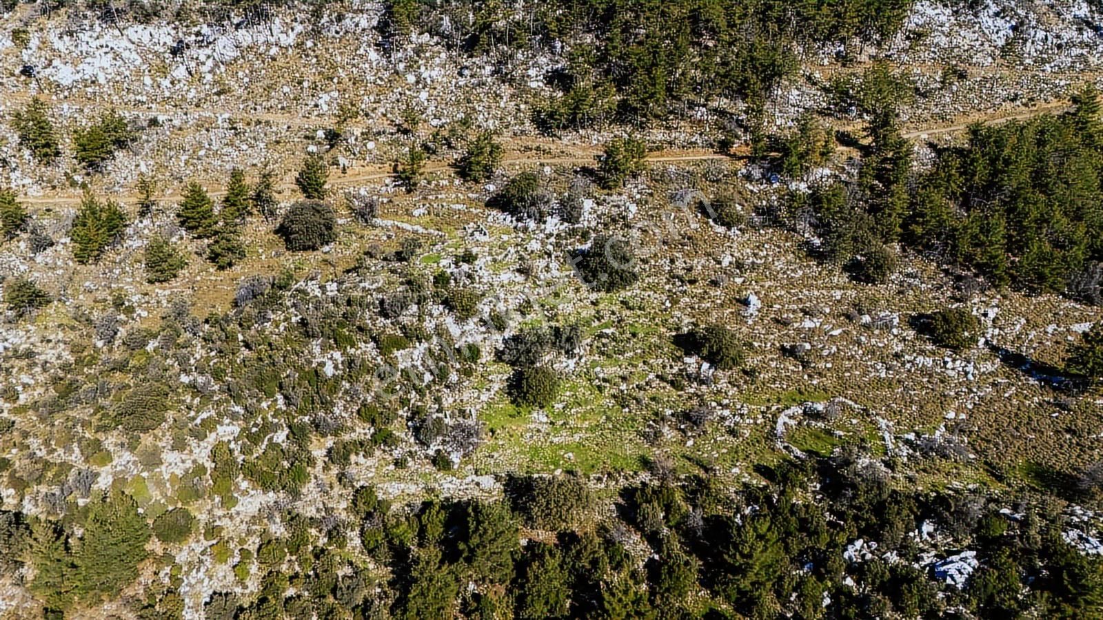 Cb Marina'dan Marmaris Osmaniye Köyü'nde Satılık 7 Dönüm Tarla - Görsel 16