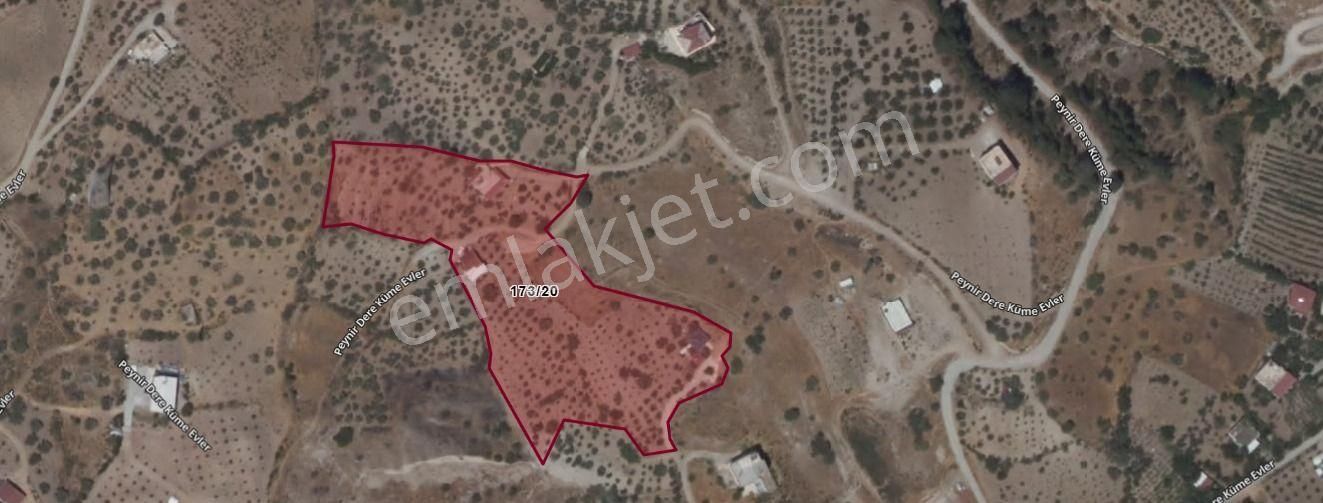 Amazon'dan Peynirdere Mh. Yol Kenarına Sıfır Yolu Açılmış Arsa!!