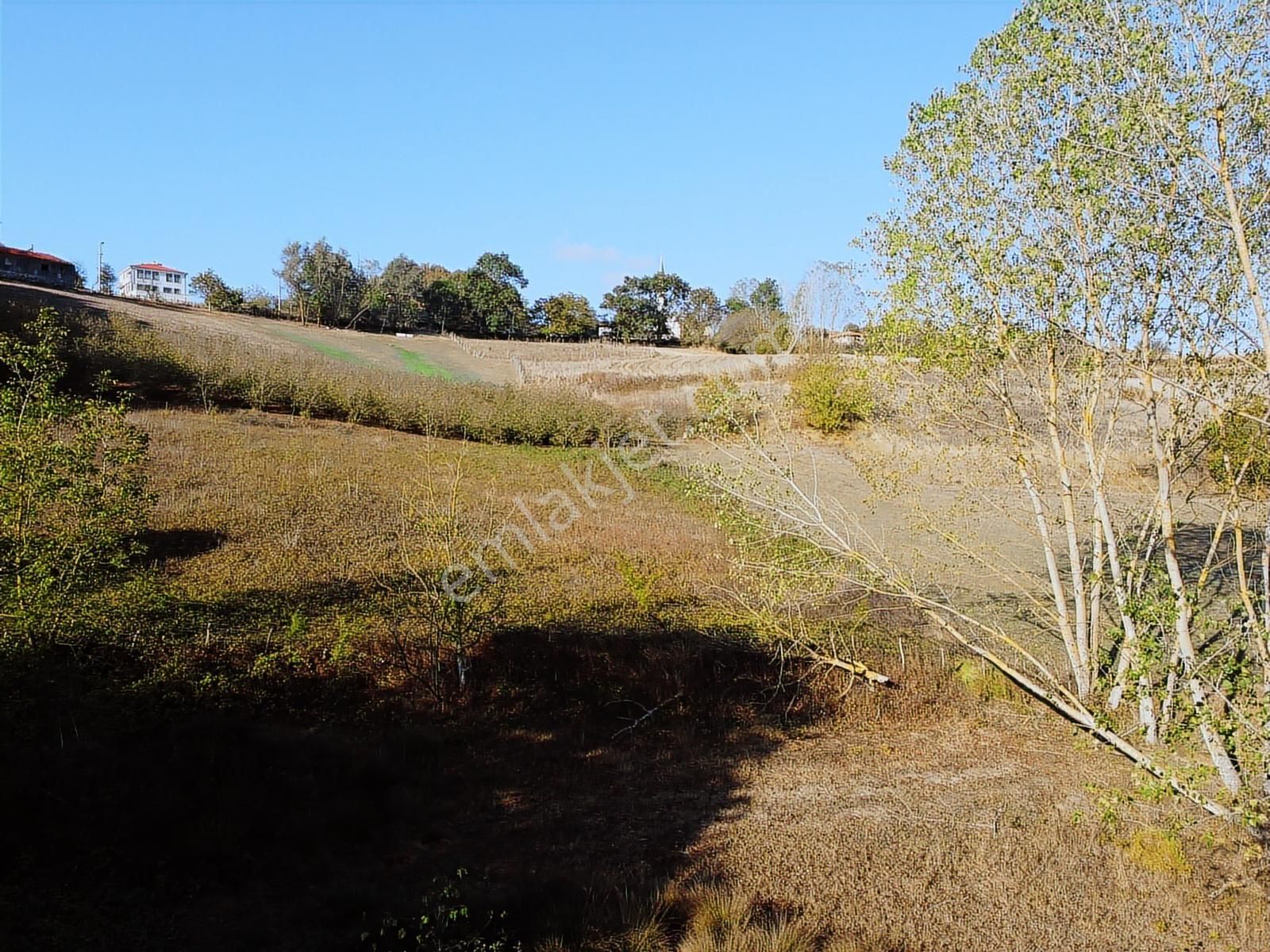 Kandıra Sarıcaali Mah Satılık Köy İçine Bir Parsel Fırsat Tarla - Görsel 34
