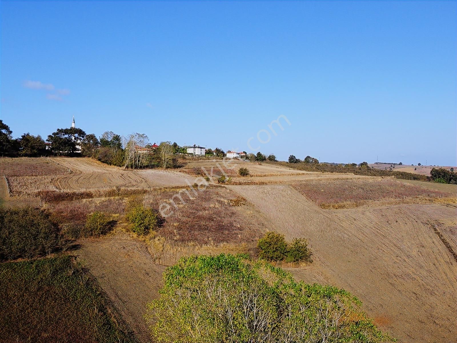 Kandıra Sarıcaali Mah Satılık Köy İçine Bir Parsel Fırsat Tarla - Görsel 3