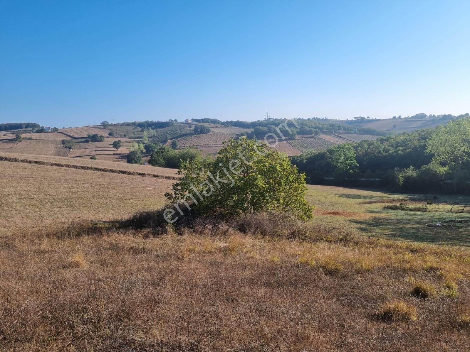 Kandıra Sarıcaali Mah Satılık Köy İçine Bir Parsel Fırsat Tarla - Görsel 27
