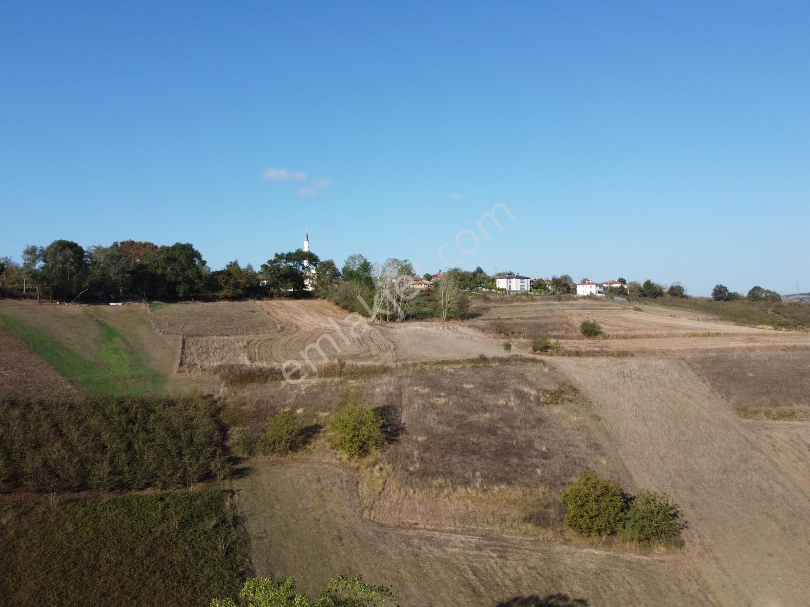 Kandıra Sarıcaali Mah Satılık Köy İçine Bir Parsel Fırsat Tarla - Görsel 13