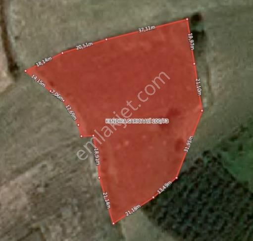 Kandıra Sarıcaali Mah Satılık Köy İçine Bir Parsel Fırsat Tarla - Görsel 9