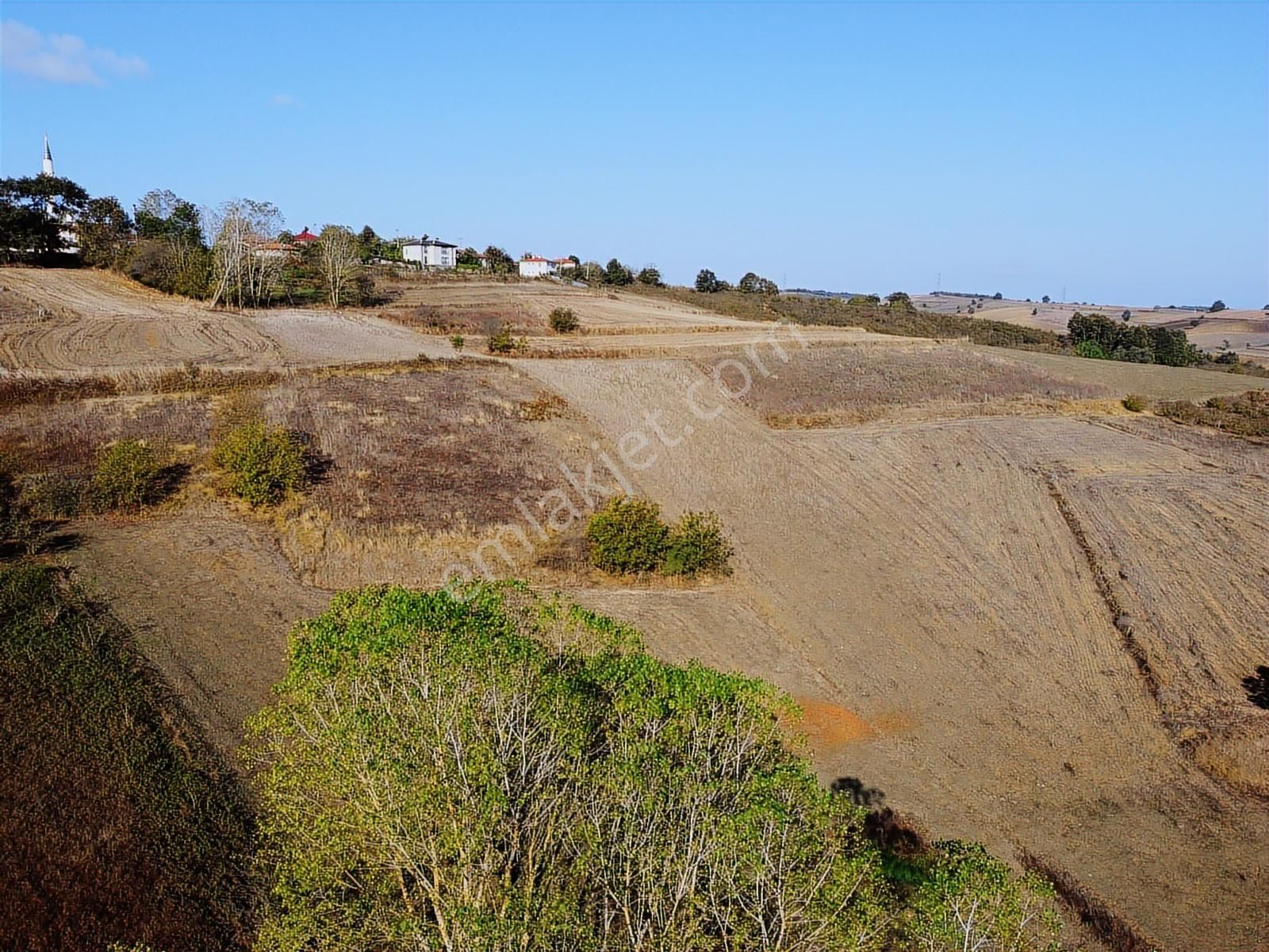 Kandıra Sarıcaali Mah Satılık Köy İçine Bir Parsel Fırsat Tarla - Görsel 11