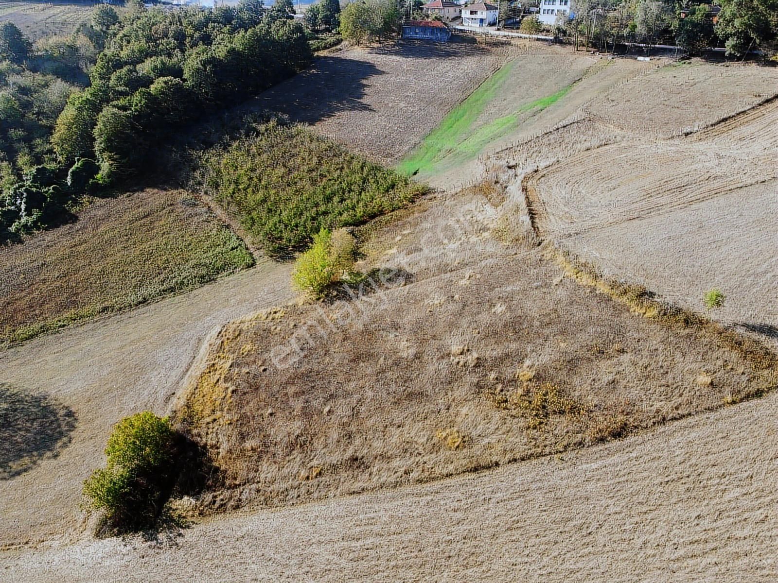 Kandıra Sarıcaali Mah Satılık Köy İçine Bir Parsel Fırsat Tarla - Görsel 14