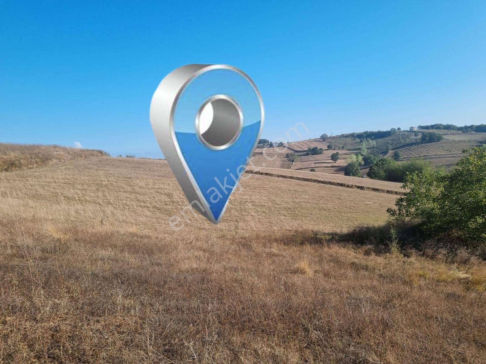 Kandıra Sarıcaali Mah Satılık Köy İçine Bir Parsel Fırsat Tarla