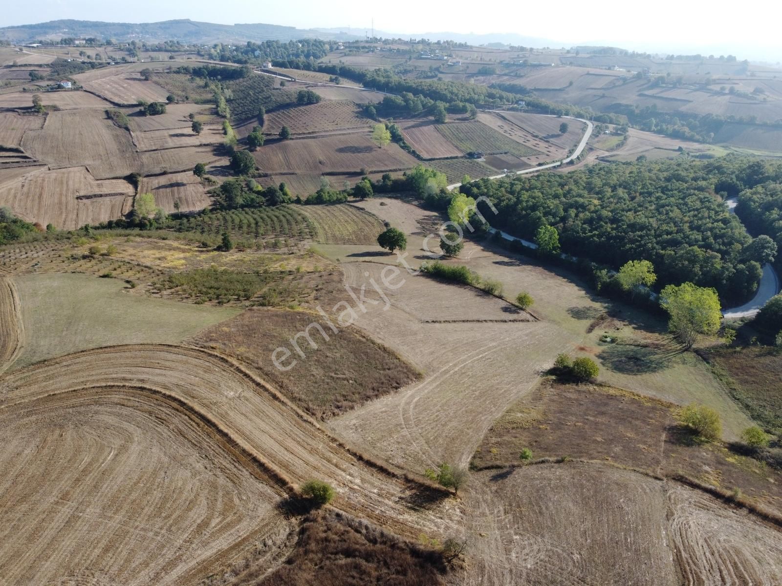 Kandıra Sarıcaali Mah Satılık Köy İçine Bir Parsel Fırsat Tarla - Görsel 18