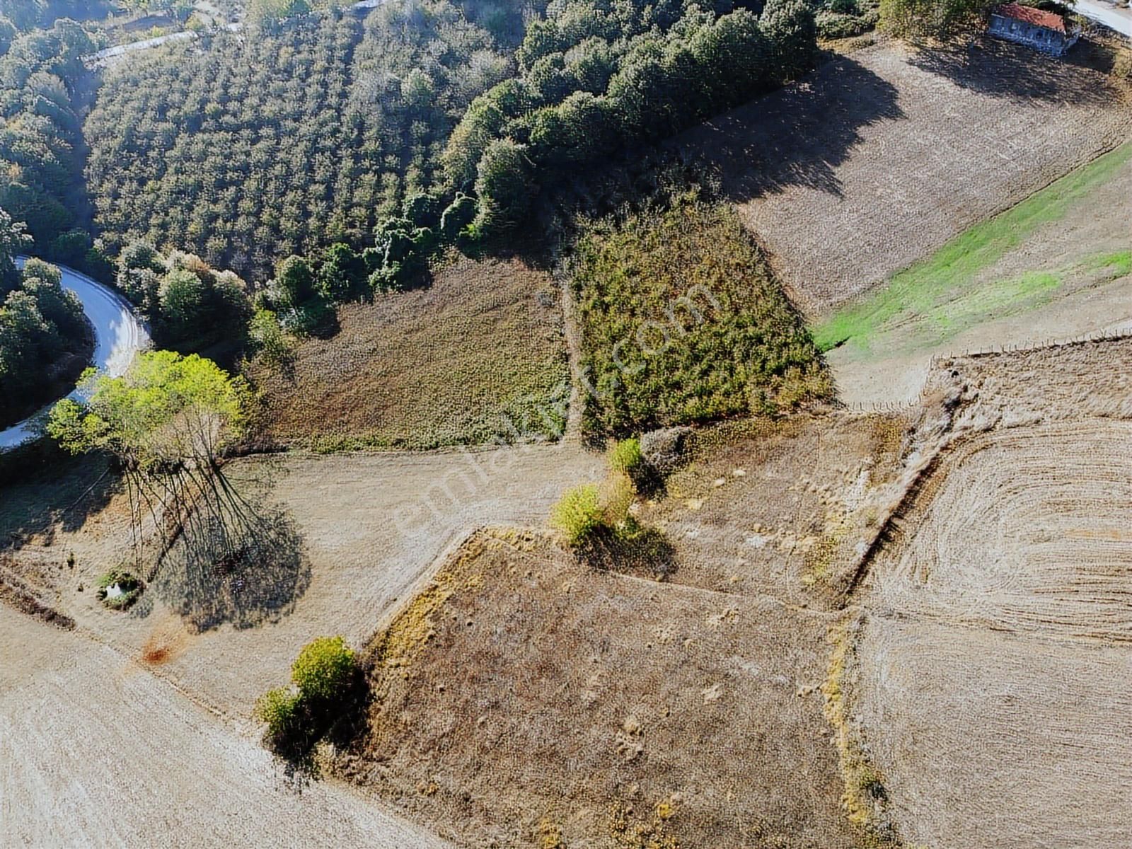 Kandıra Sarıcaali Mah Satılık Köy İçine Bir Parsel Fırsat Tarla - Görsel 19
