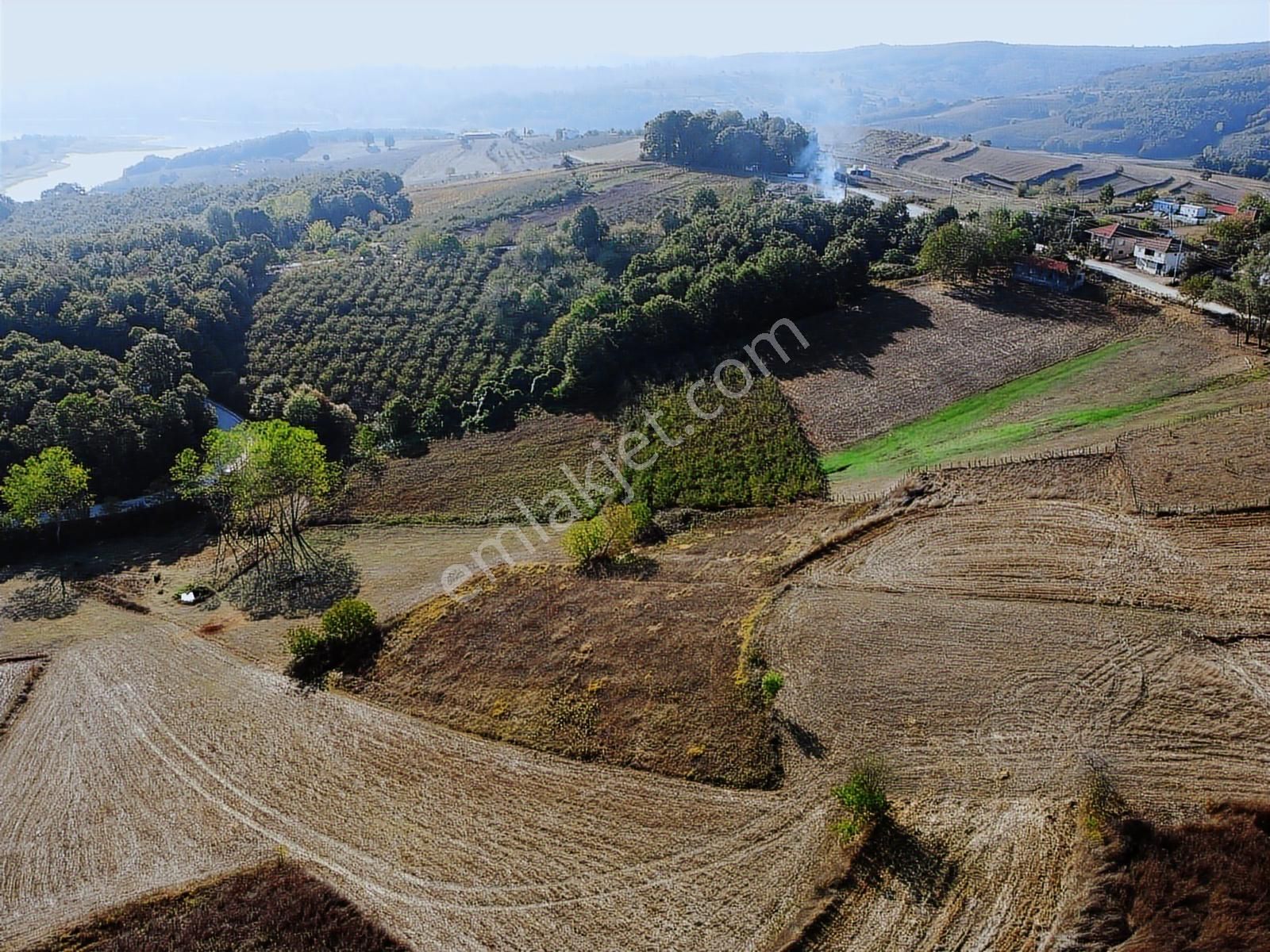 Kandıra Sarıcaali Mah Satılık Köy İçine Bir Parsel Fırsat Tarla - Görsel 17
