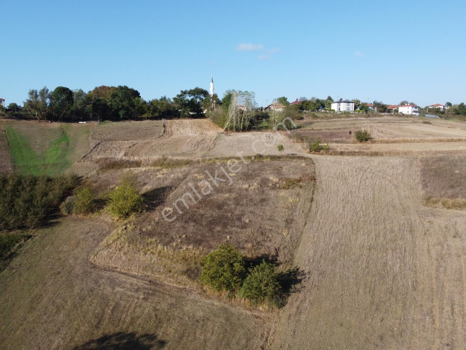 Kandıra Sarıcaali Mah Satılık Köy İçine Bir Parsel Fırsat Tarla - Görsel 7