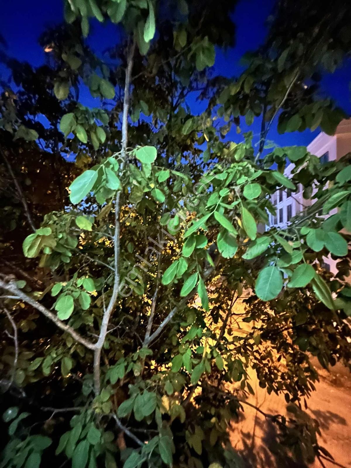 Demir Deluxe___fiyatı Düştü!acil Satılık 2+1 Daire___fiyatı 10 - Görsel 25