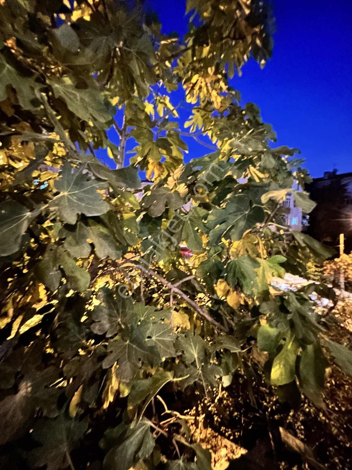 Demir Deluxe___fiyatı Düştü!acil Satılık 2+1 Daire___fiyatı 10 - Görsel 3