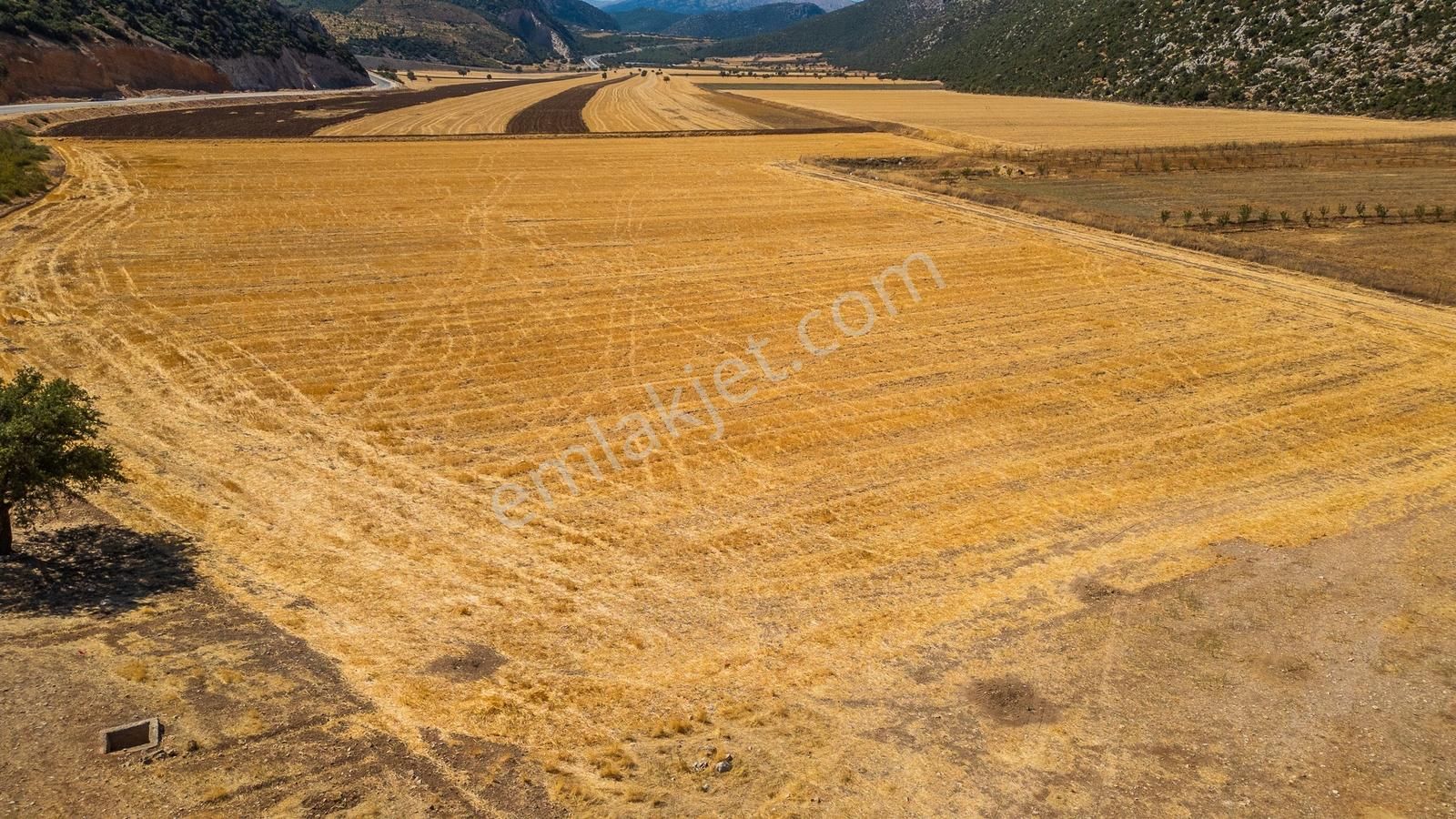 Korkuteli Söğütcük'te Anayola Sıfır Satılık 38 Dönüm Tarla - Görsel 4