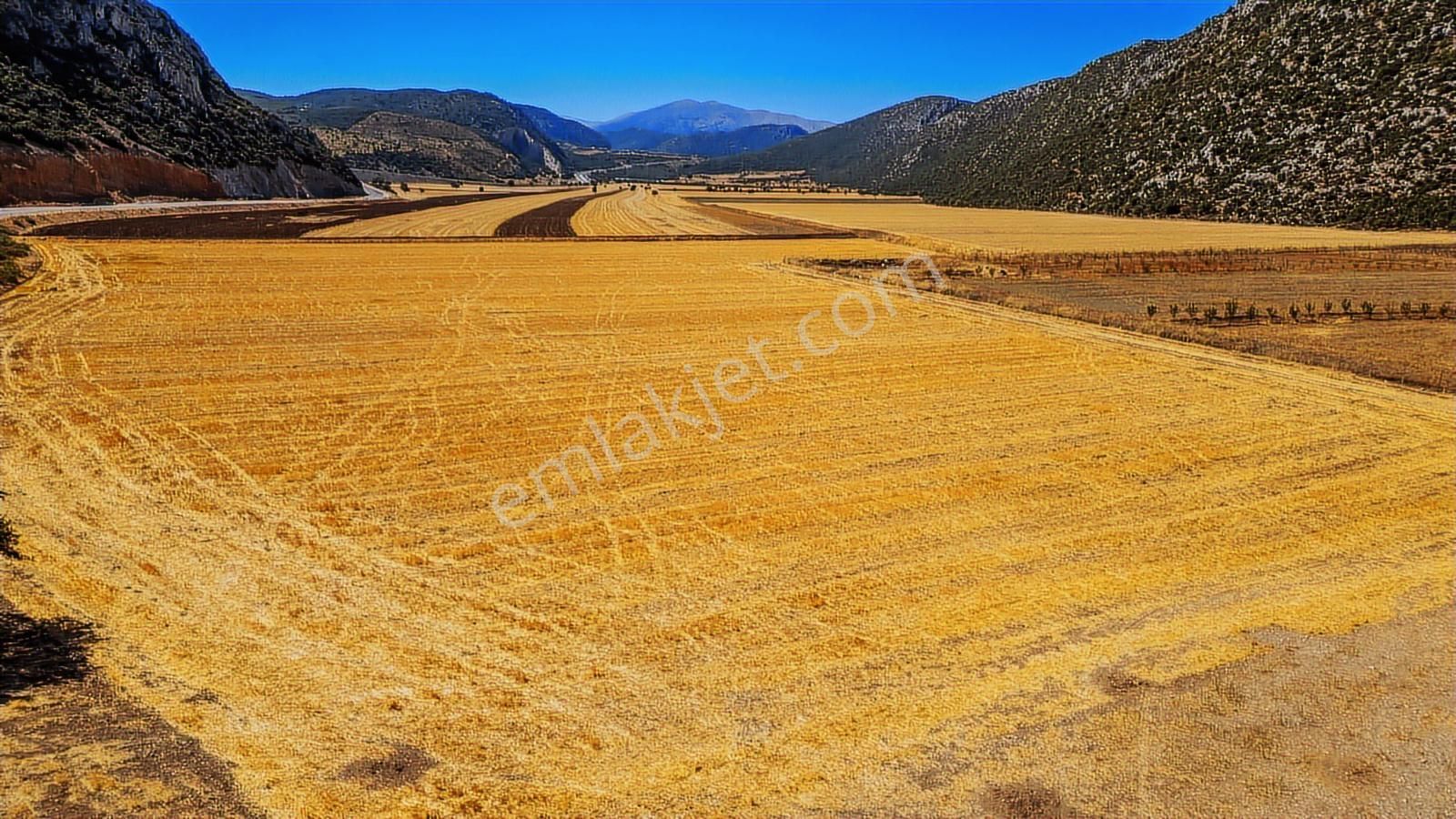 Korkuteli Söğütcük'te Anayola Sıfır Satılık 38 Dönüm Tarla - Görsel 7