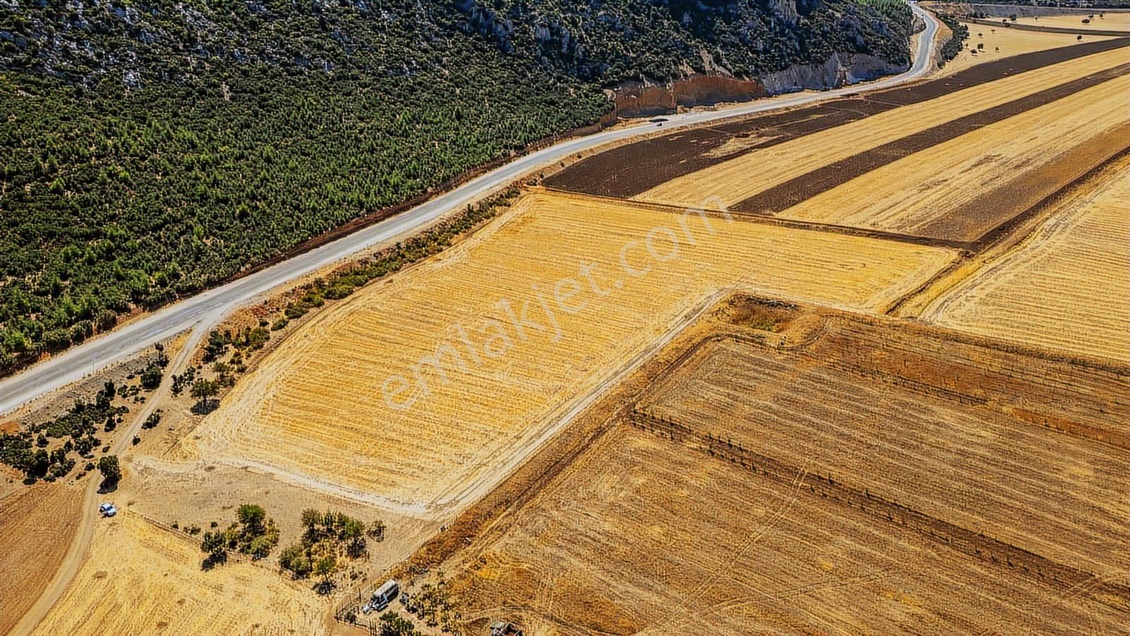 Korkuteli Söğütcük'te Anayola Sıfır Satılık 38 Dönüm Tarla - Görsel 13