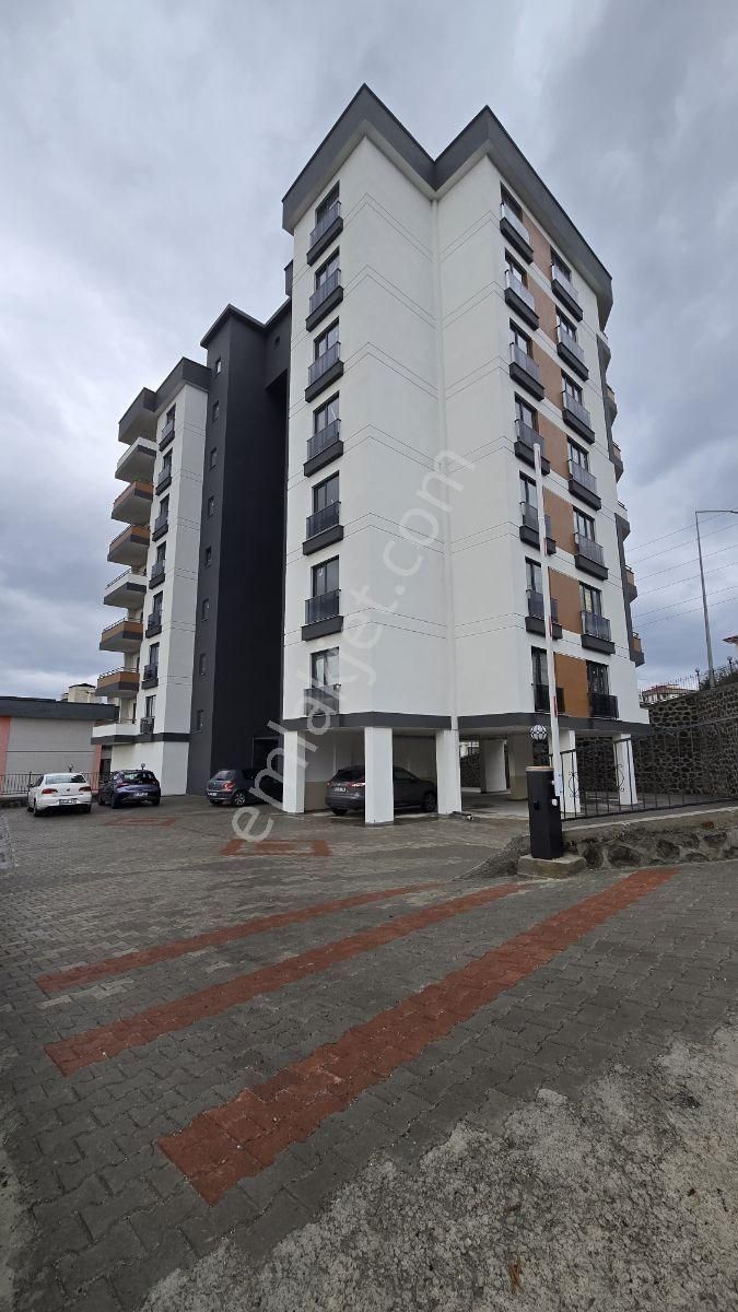 Üniversite Mah. 1+1 4.kat Kiralık Sıfır Daire - Görsel 19