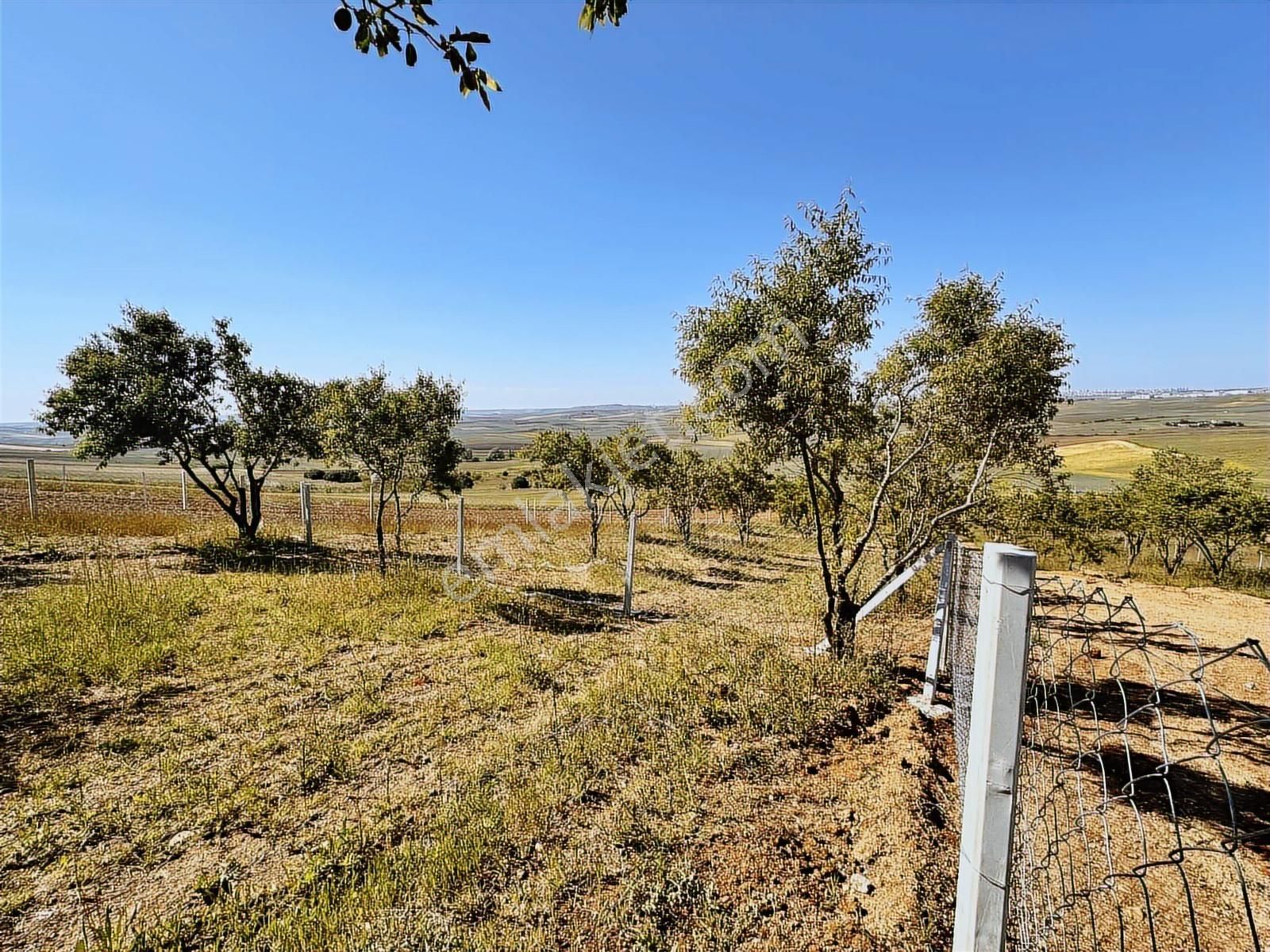 Yeniçiftlikte Deniz Manz Uygun Fiyata Yola Cephe 300m² Parseller - Görsel 25