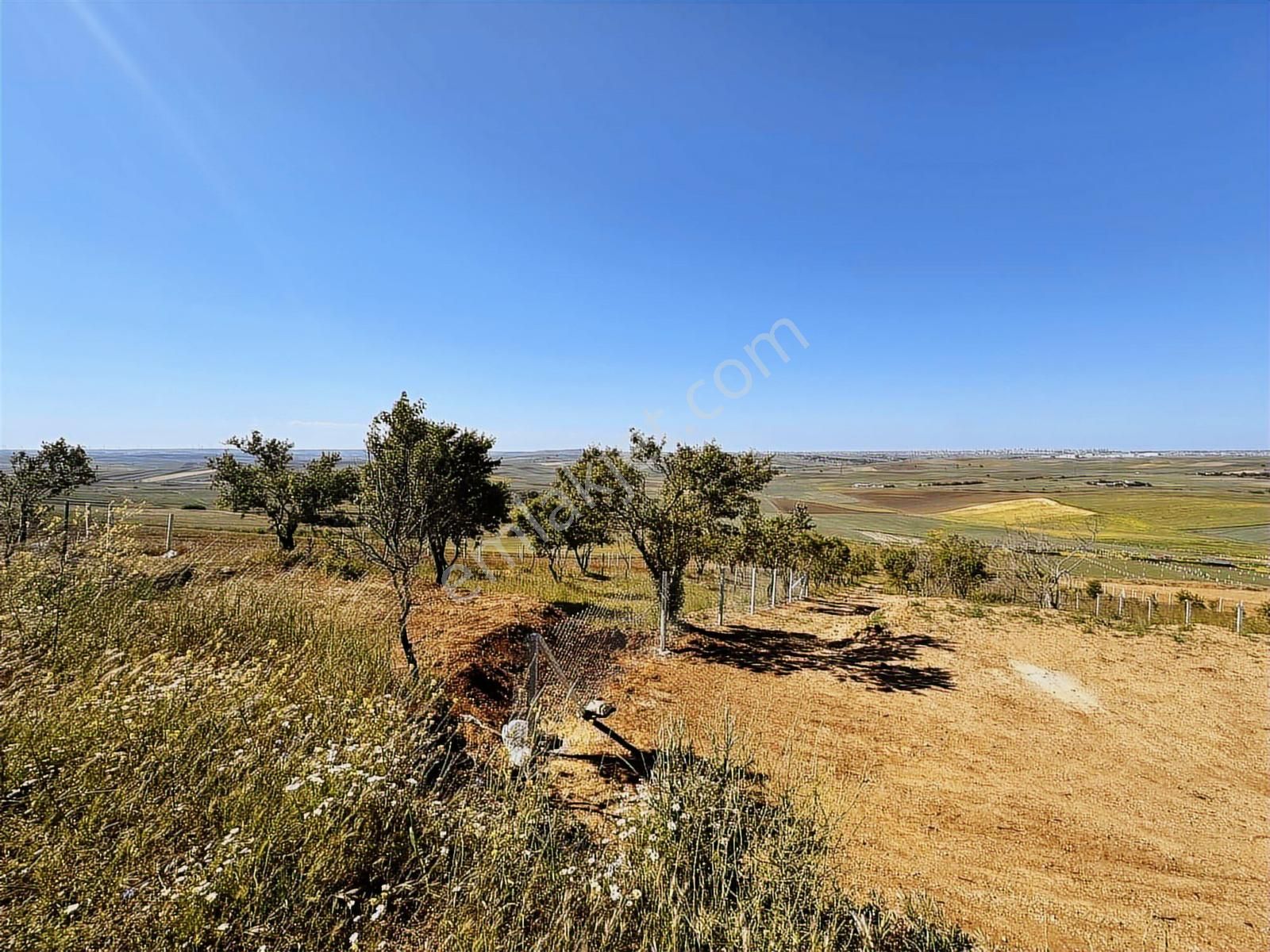 Yeniçiftlikte Deniz Manz Uygun Fiyata Yola Cephe 300m² Parseller - Görsel 26