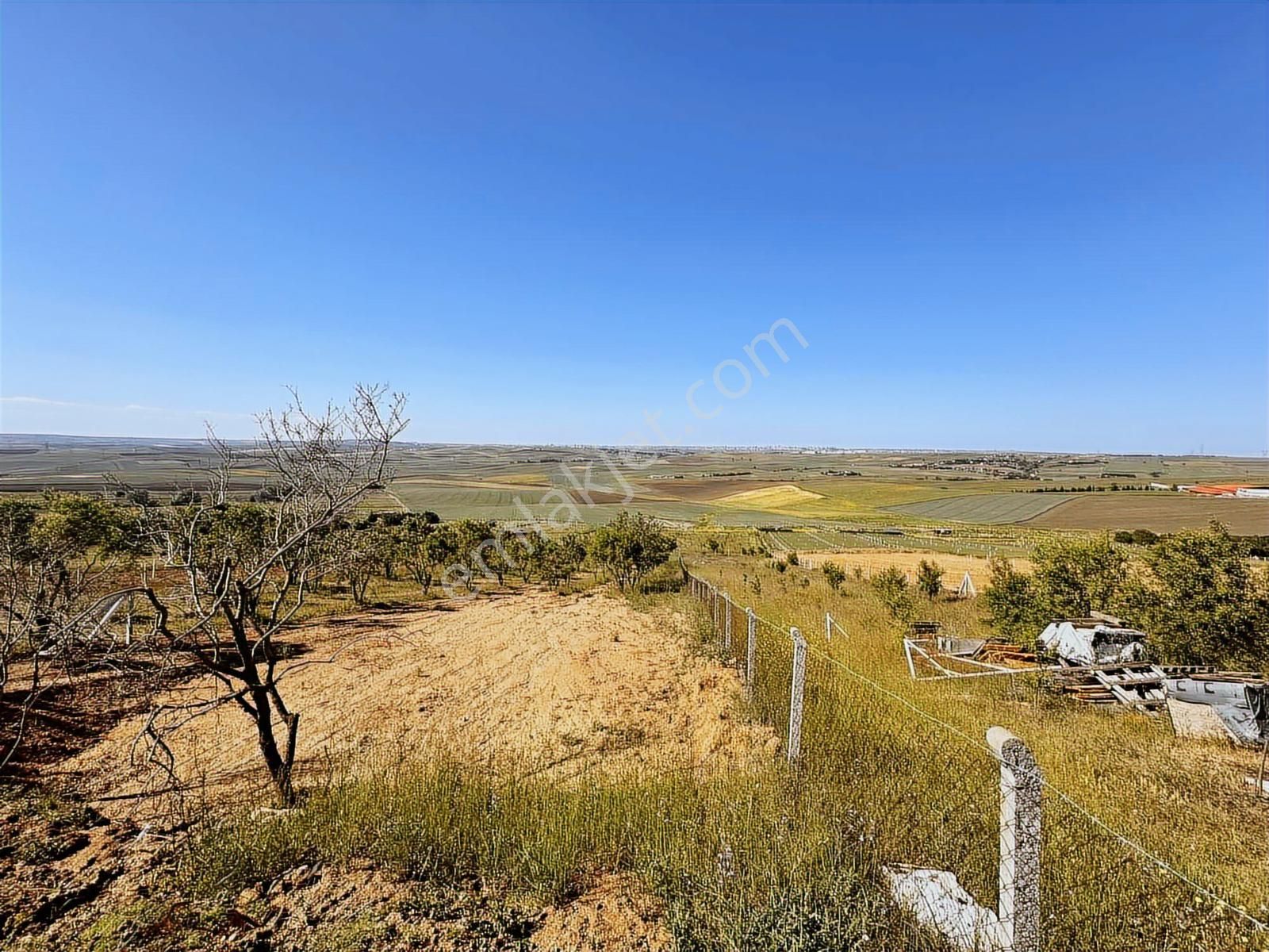 Yeniçiftlikte Deniz Manz Uygun Fiyata Yola Cephe 300m² Parseller - Görsel 9