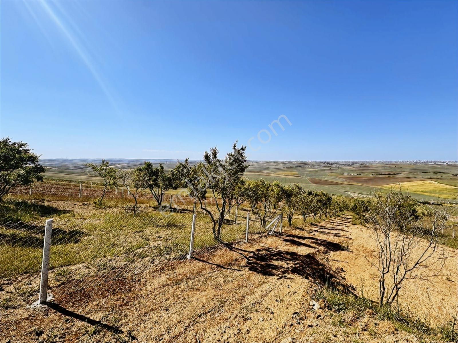 Yeniçiftlikte Deniz Manz Uygun Fiyata Yola Cephe 300m² Parseller - Görsel 34