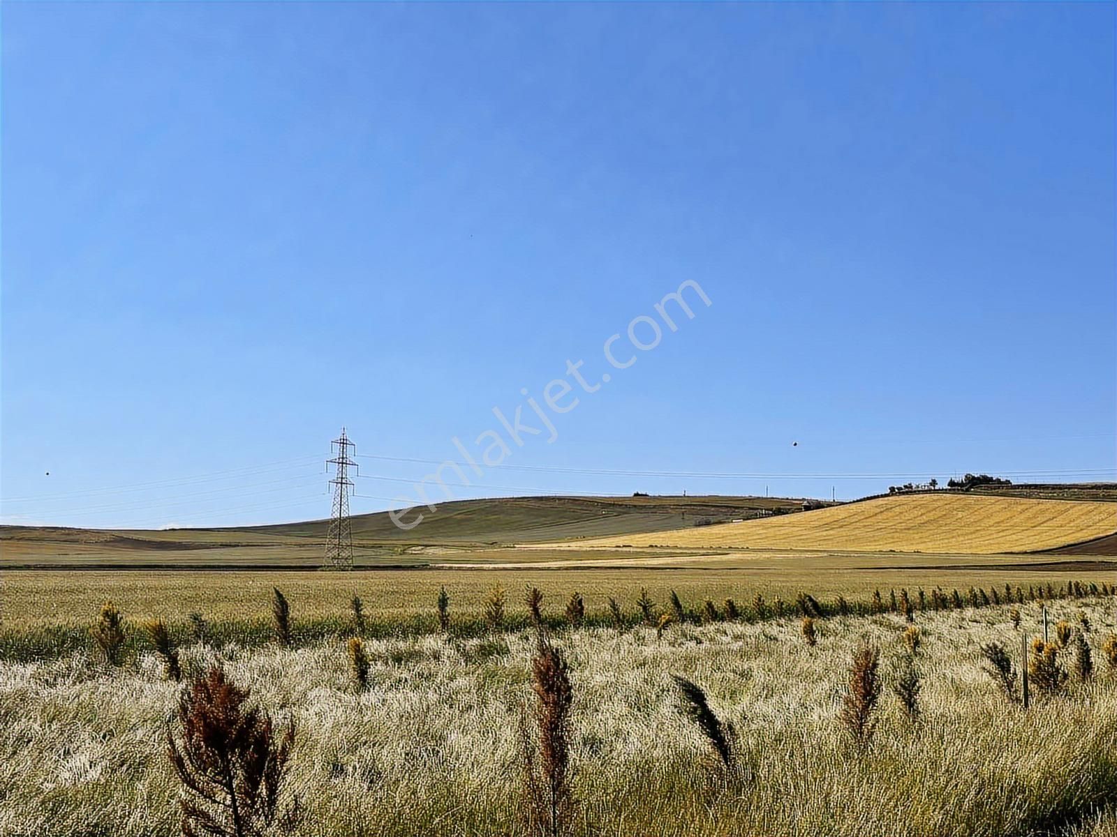 Yeniçiftlikte Deniz Manz Uygun Fiyata Yola Cephe 300m² Parseller - Görsel 22