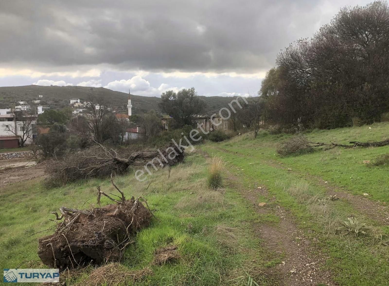 Milas Beyciler Köyü İçinde İmarlı Arsa 3 Bin M2 - Görsel 6