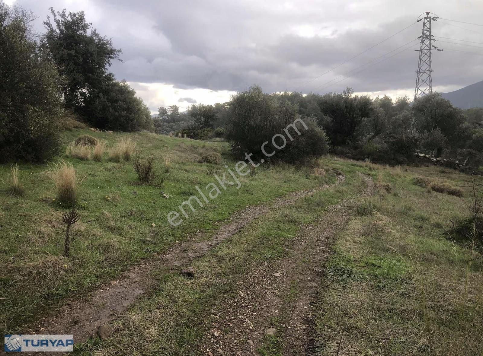 Milas Beyciler Köyü İçinde İmarlı Arsa 3 Bin M2 - Görsel 2