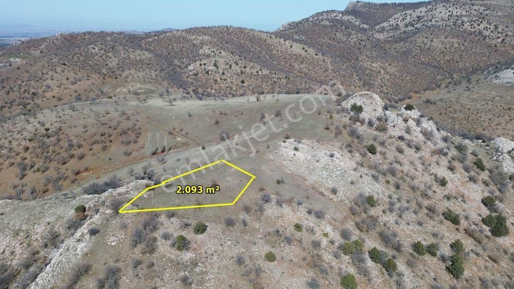 Güneysınır Gürağaç Da 2.093 M2 Müstakil Tapulu Tarla - Görsel 3