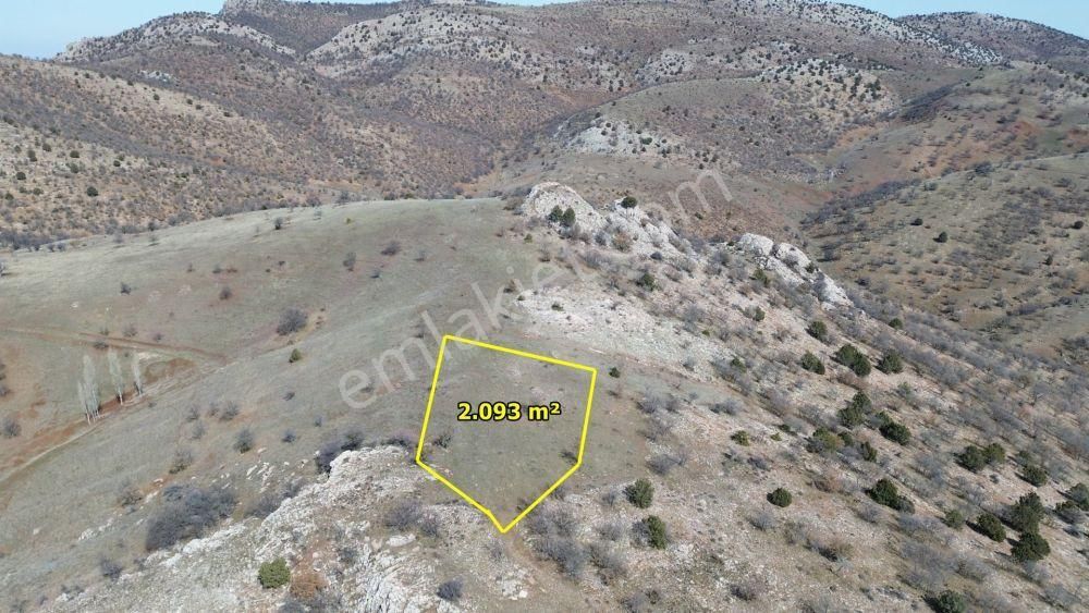 Güneysınır Gürağaç Da 2.093 M2 Müstakil Tapulu Tarla - Görsel 4
