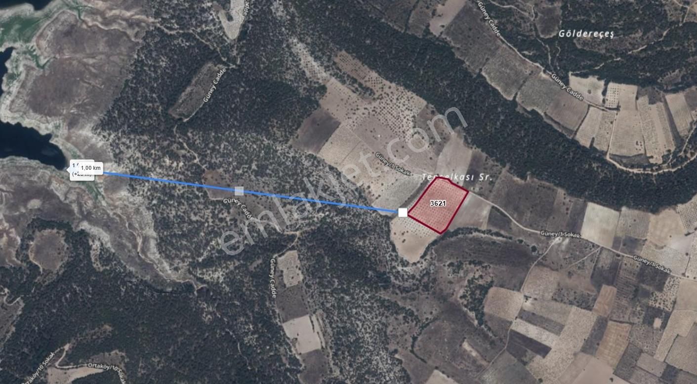 Ortaköyde Verimli 33 Dönüm Cevizlik+22 Dönüm Telli Bağ,bademlik - Görsel 4