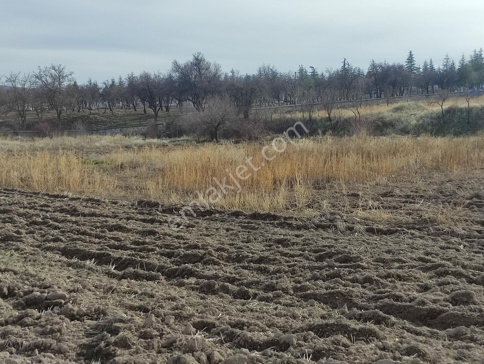 Özpınar ,dan Çavuş Harımlarda 633 M2 Suyu,yolu Var Tarla-bahçe - Görsel 9