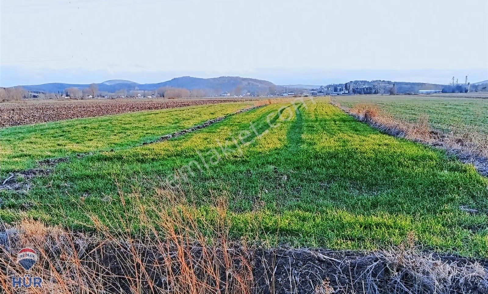 Remax Hür Ali Kutanis'ten Adapazarı Çaltıcak'ta Satılık Tarla - Görsel 2