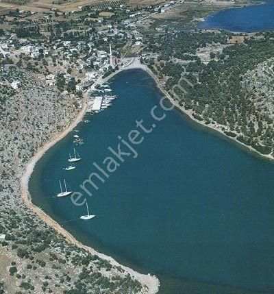 Muğla Milas Kıyıkışlacık'ta Plaja 300 M. Uzaklıkta Satılık Arsa - Görsel 7