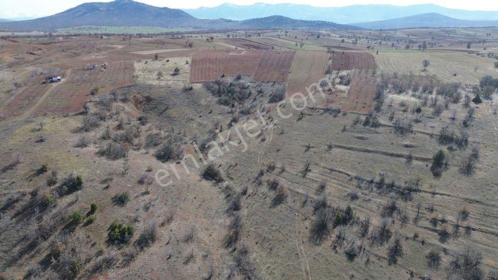 Güneysınır Mehmetali De 2.305 M2 Müstakil Tapulu Bahçe - Görsel 3