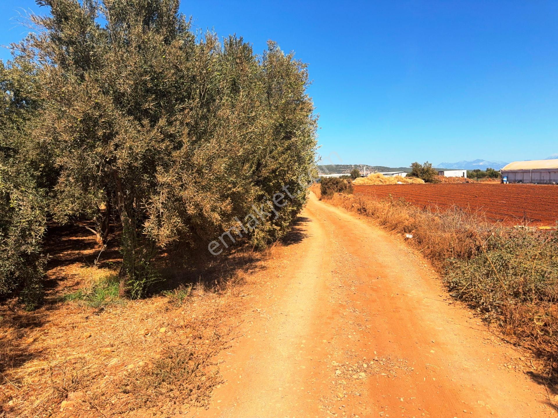 Kepez'de Isparta Yolu Yakını %75 Konut İmarlı 396m2 Satılık Arsa - Görsel 21