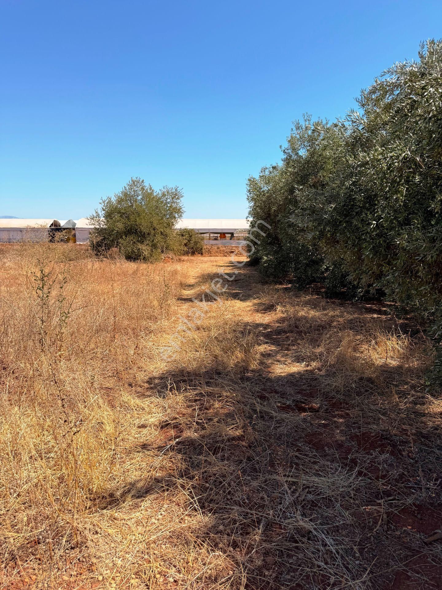 Kepez'de Isparta Yolu Yakını %75 Konut İmarlı 396m2 Satılık Arsa - Görsel 9
