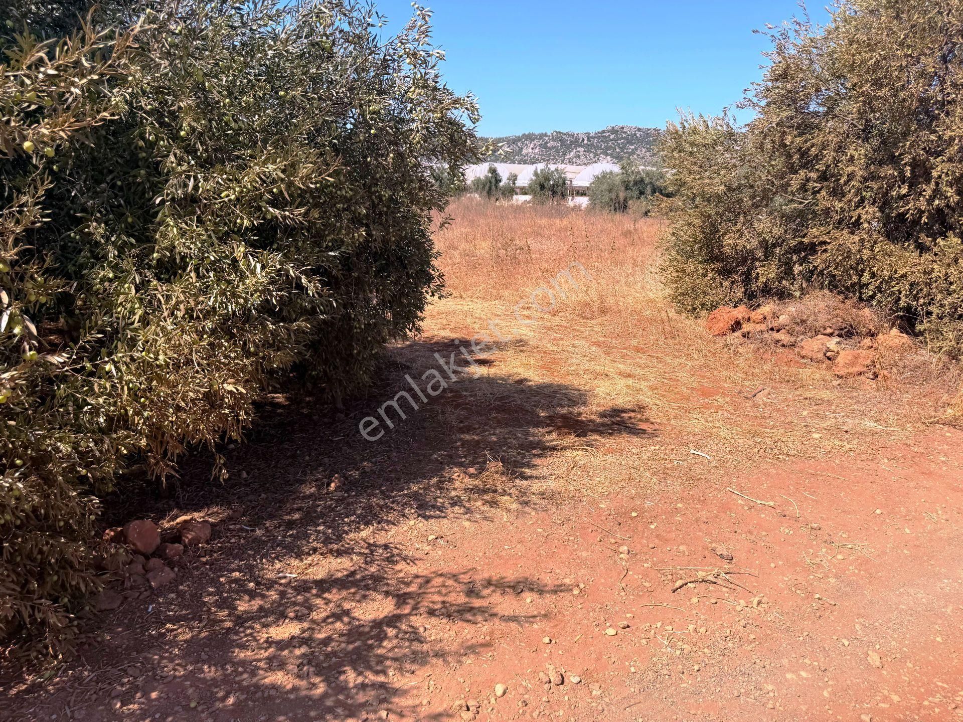 Kepez'de Isparta Yolu Yakını %75 Konut İmarlı 396m2 Satılık Arsa - Görsel 23