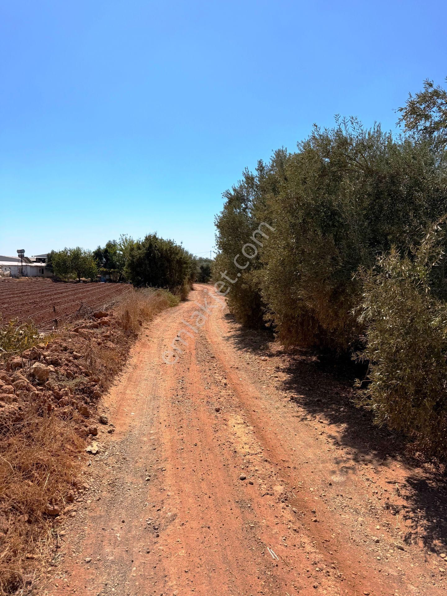 Kepez'de Isparta Yolu Yakını %75 Konut İmarlı 396m2 Satılık Arsa - Görsel 5