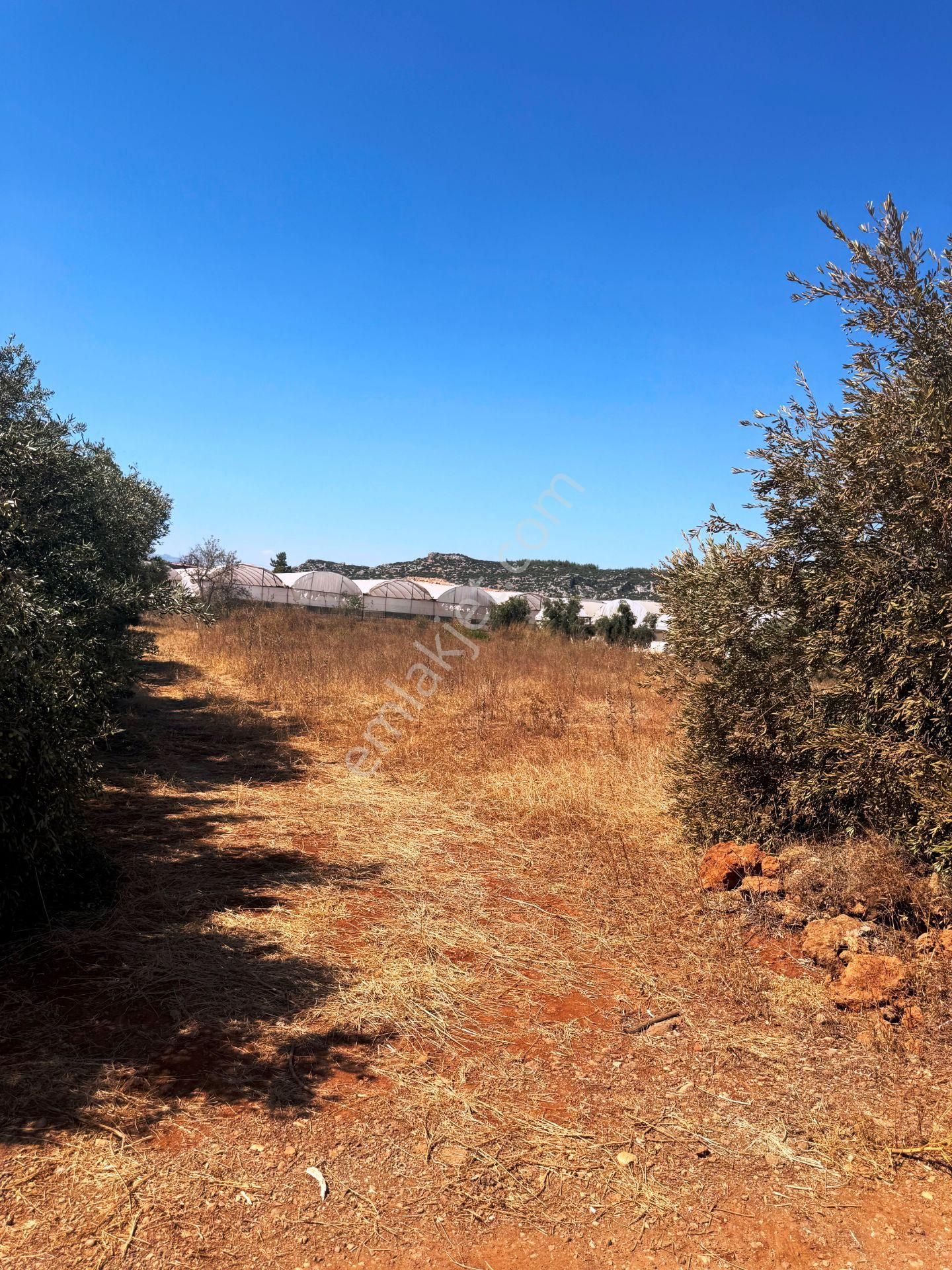 Kepez'de Isparta Yolu Yakını %75 Konut İmarlı 396m2 Satılık Arsa - Görsel 24