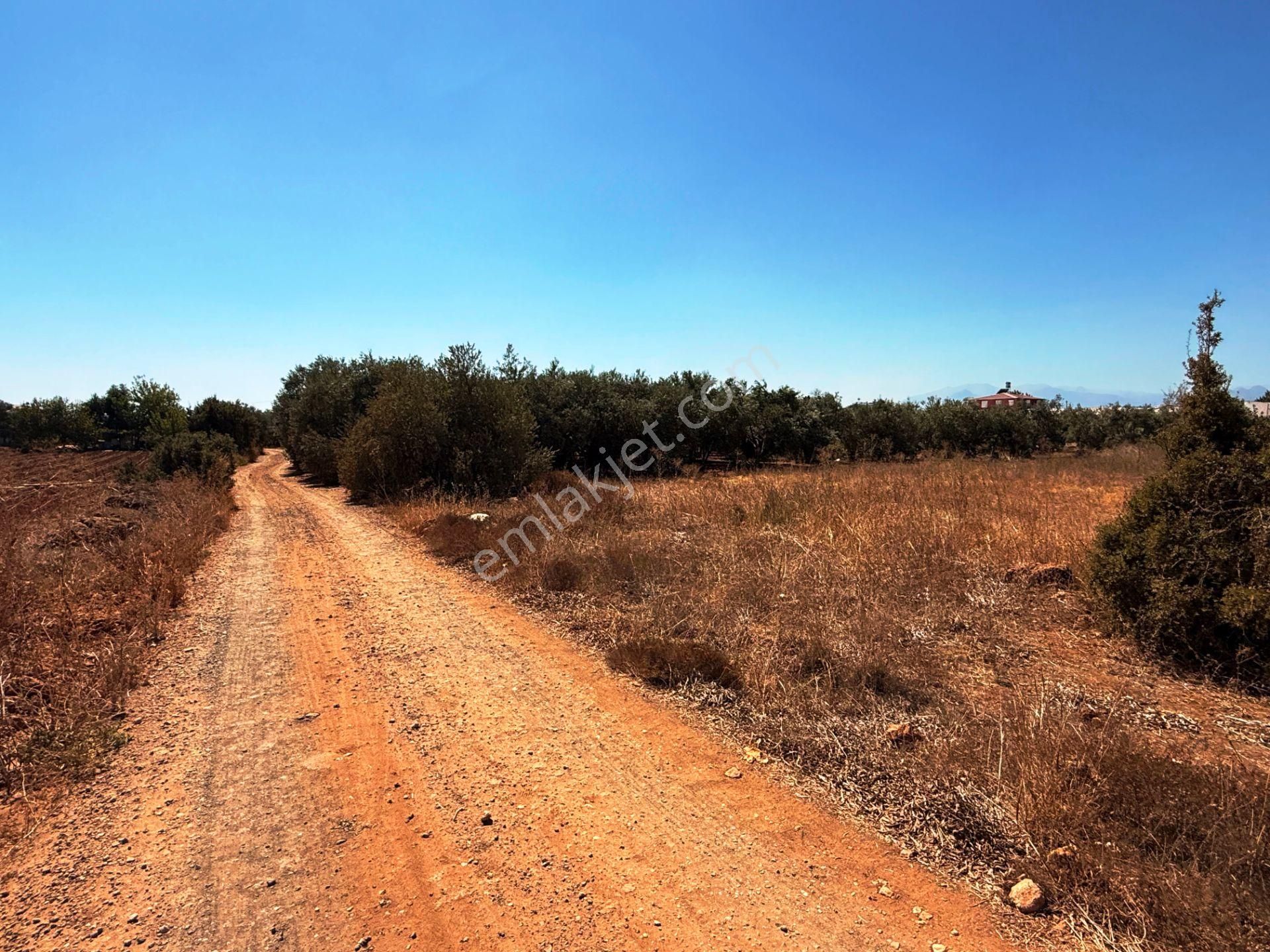 Kepez'de Isparta Yolu Yakını %75 Konut İmarlı 396m2 Satılık Arsa - Görsel 13