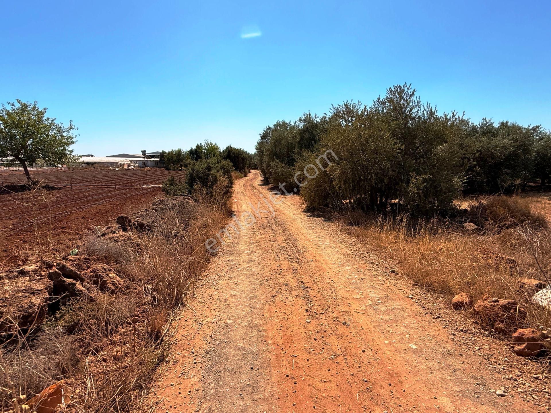 Kepez'de Isparta Yolu Yakını %75 Konut İmarlı 396m2 Satılık Arsa - Görsel 15