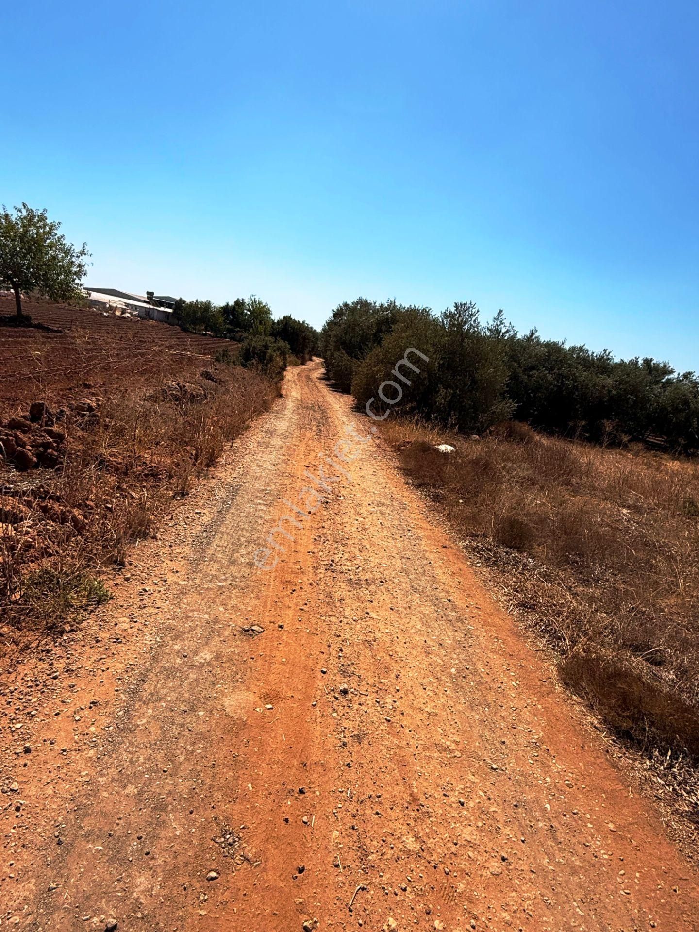 Kepez'de Isparta Yolu Yakını %75 Konut İmarlı 396m2 Satılık Arsa - Görsel 14