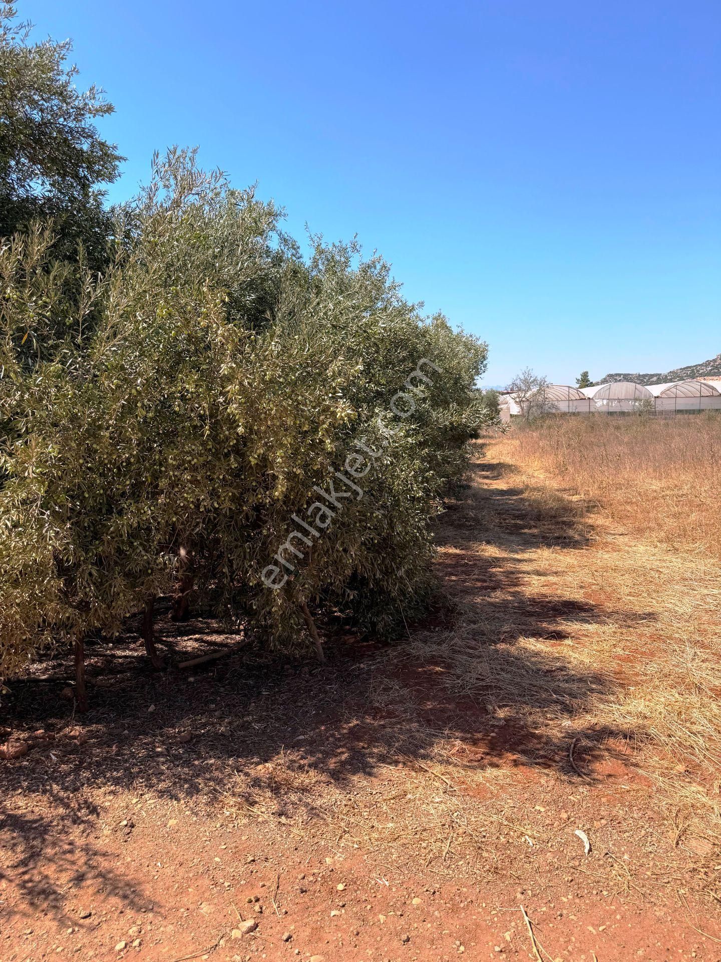 Kepez'de Isparta Yolu Yakını %75 Konut İmarlı 396m2 Satılık Arsa - Görsel 3