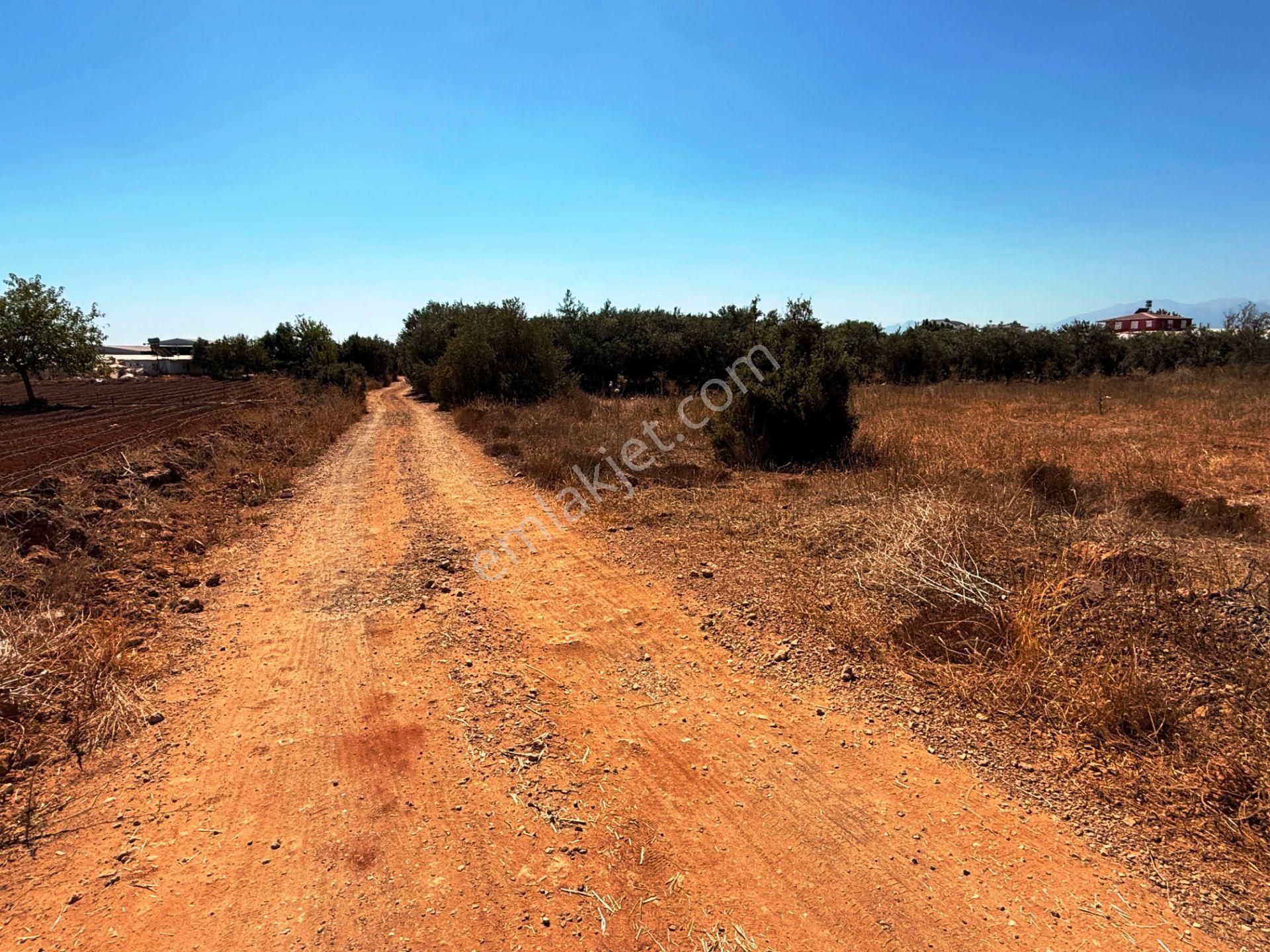 Kepez'de Isparta Yolu Yakını %75 Konut İmarlı 396m2 Satılık Arsa - Görsel 12